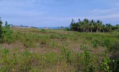 OCEAN AND MOUNTAIN VIEW SUBDIVIDED LOTS  FOR SALE LOCATED IN BUNGA DAUIN