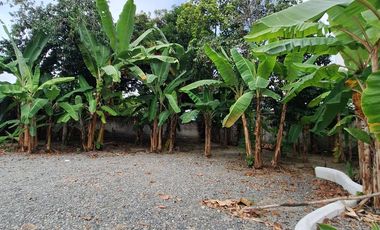 VENTA HOSTERÍA SECTOR TONSUPA - ESMERALDAS