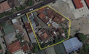 SAN FRANCISCO ROAD HALANG BINAN LAGUNA COMMERCIAL INDUSTRIAL LOT @ 2,265 SQM