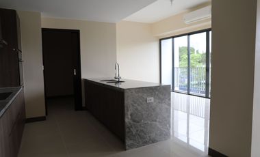 3 bedroom with balcony condo for sale in Mckinley West High-end condo