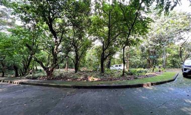JDL - FOR SALE: 846 sqm Prime Corner Lot in Town and Country Estates, Antipolo