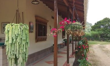 VENDO FINCA SEMIPLANA EN SANTO DOMINGO ANTIOQUIA.