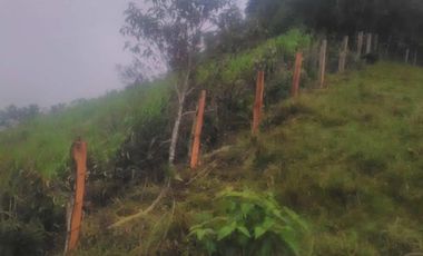 VENDO FINCA SEMIPLANA EN SANTO DOMINGO ANTIOQUIA.