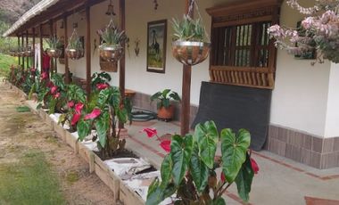 VENDO FINCA SEMIPLANA EN SANTO DOMINGO ANTIOQUIA.