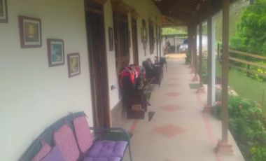 VENDO FINCA SEMIPLANA EN SANTO DOMINGO ANTIOQUIA.