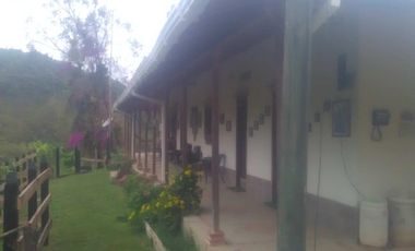 VENDO FINCA SEMIPLANA EN SANTO DOMINGO ANTIOQUIA.