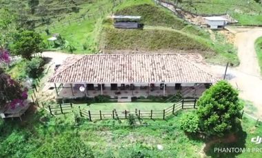 VENDO FINCA SEMIPLANA EN SANTO DOMINGO ANTIOQUIA.