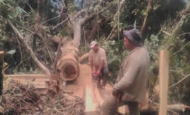 VENDO FINCA SEMIPLANA EN SANTO DOMINGO ANTIOQUIA.