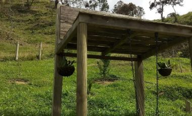 VENDO FINCA SEMIPLANA EN SANTO DOMINGO ANTIOQUIA.