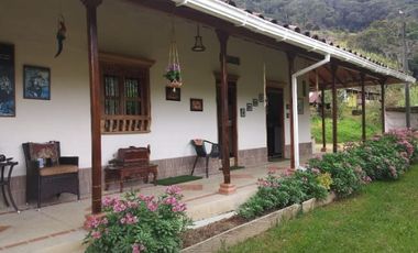 VENDO FINCA SEMIPLANA EN SANTO DOMINGO ANTIOQUIA.