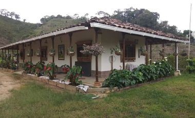VENDO FINCA SEMIPLANA EN SANTO DOMINGO ANTIOQUIA.