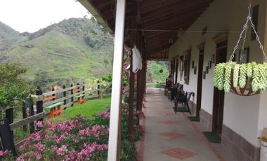 VENDO FINCA SEMIPLANA EN SANTO DOMINGO ANTIOQUIA.