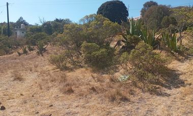 TERRENO EN VENTA “ESTANZUELA -MINERAL DEL CHICO”