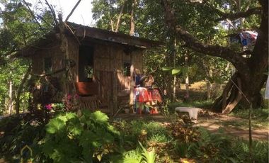 FARM LOT FOR SALE