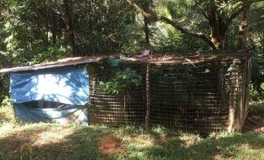 FARM LOT FOR SALE