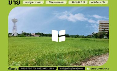 ขายที่ดินเปล่า 18-3-44.5 ไร่ ต.ศาลายา จ.นครปฐม ทำเลไพรม์มากๆ ที่ดินติดถนน 2 ด้าน เข้าซอยห่างจากถนนบรมราชชนนี เพียง 1 กม.