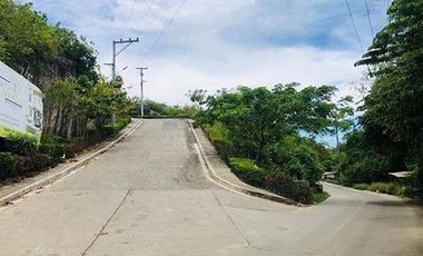 223 Residential lot for sale in Vista Verde Consolacion Cebu