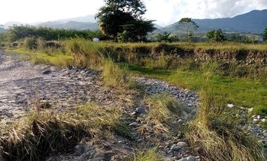 42,000 sqm or 4.2 Hectare Land  for Sale in Bambang, Nueva Vizcaya