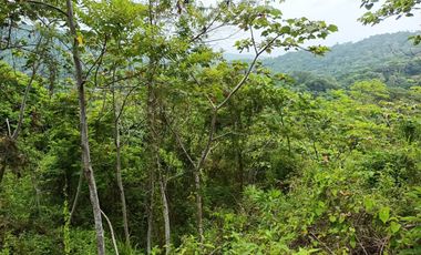 FINCA CON VISTA AL MAR CERCA DEL PARQUE TAYRONA SANTA MARTA.