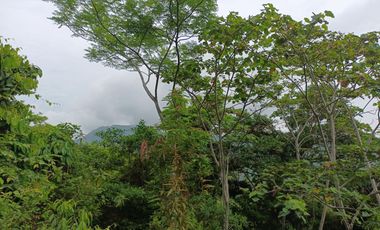 FINCA CON VISTA AL MAR CERCA DEL PARQUE TAYRONA SANTA MARTA.