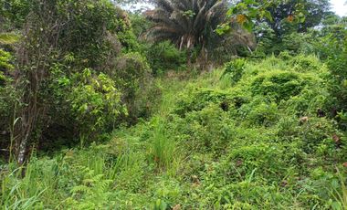 FINCA CON VISTA AL MAR CERCA DEL PARQUE TAYRONA SANTA MARTA.