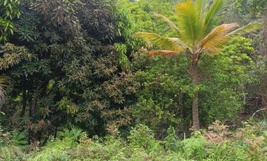 FINCA CON VISTA AL MAR CERCA DEL PARQUE TAYRONA SANTA MARTA.
