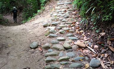 FINCA CON VISTA AL MAR CERCA DEL PARQUE TAYRONA SANTA MARTA.