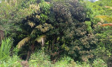 FINCA CON VISTA AL MAR CERCA DEL PARQUE TAYRONA SANTA MARTA.