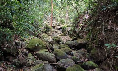 FINCA CON VISTA AL MAR CERCA DEL PARQUE TAYRONA SANTA MARTA.