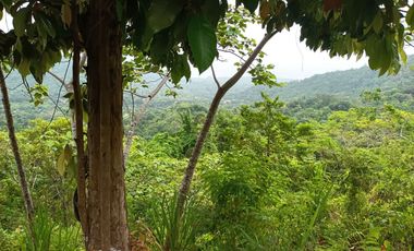 FINCA CON VISTA AL MAR CERCA DEL PARQUE TAYRONA SANTA MARTA.