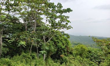 FINCA CON VISTA AL MAR CERCA DEL PARQUE TAYRONA SANTA MARTA.