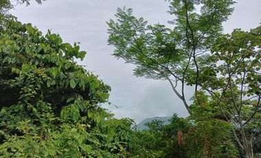 FINCA CON VISTA AL MAR CERCA DEL PARQUE TAYRONA SANTA MARTA.