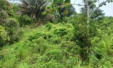 FINCA CON VISTA AL MAR CERCA DEL PARQUE TAYRONA SANTA MARTA.