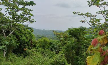 FINCA CON VISTA AL MAR CERCA DEL PARQUE TAYRONA SANTA MARTA.