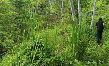 FINCA CON VISTA AL MAR CERCA DEL PARQUE TAYRONA SANTA MARTA.