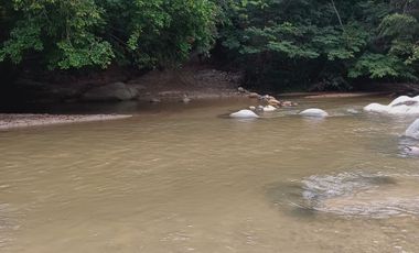 FINCA CON VISTA AL MAR CERCA DEL PARQUE TAYRONA SANTA MARTA.