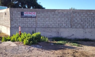 GRAN TERRENO SALIDA NORTE COPIAPÓ, SECTOR CHAMONATE