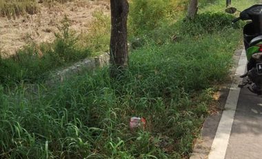 Tanah Pinggir Jalan Raya Dekat Tasikardi