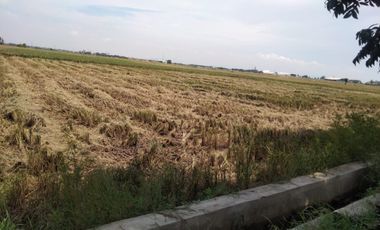 Tanah Pinggir Jalan Raya Dekat Tasikardi