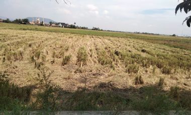 Tanah Pinggir Jalan Raya Dekat Tasikardi