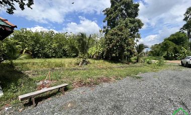 A Nice plot of Land for sale in Rong wua deang , Sankampheang, Chiangmai
