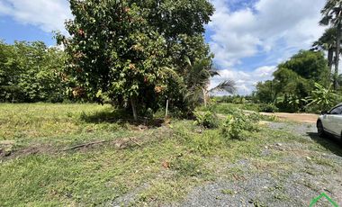 A Nice plot of Land for sale in Rong wua deang , Sankampheang, Chiangmai
