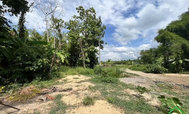 A Nice plot of Land for sale in Rong wua deang , Sankampheang, Chiangmai