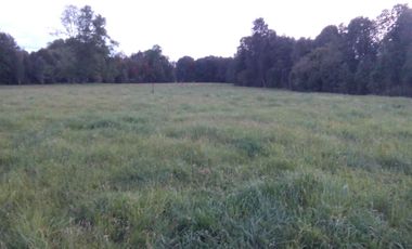 Hermosas Parcelas cercanas a Los Lagos