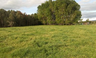 Hermosas Parcelas cercanas a Los Lagos