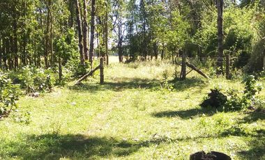 Hermosas Parcelas cercanas a Los Lagos