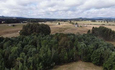 Hermosas Parcelas cercanas a Los Lagos