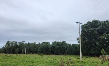 Hermosas Parcelas cercanas a Los Lagos