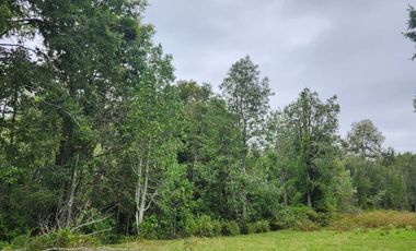 Hermosas Parcelas cercanas a Los Lagos