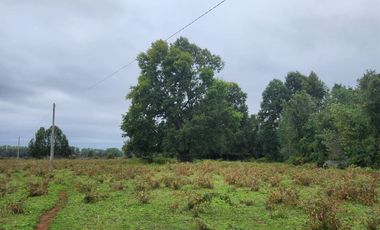 Hermosas Parcelas cercanas a Los Lagos